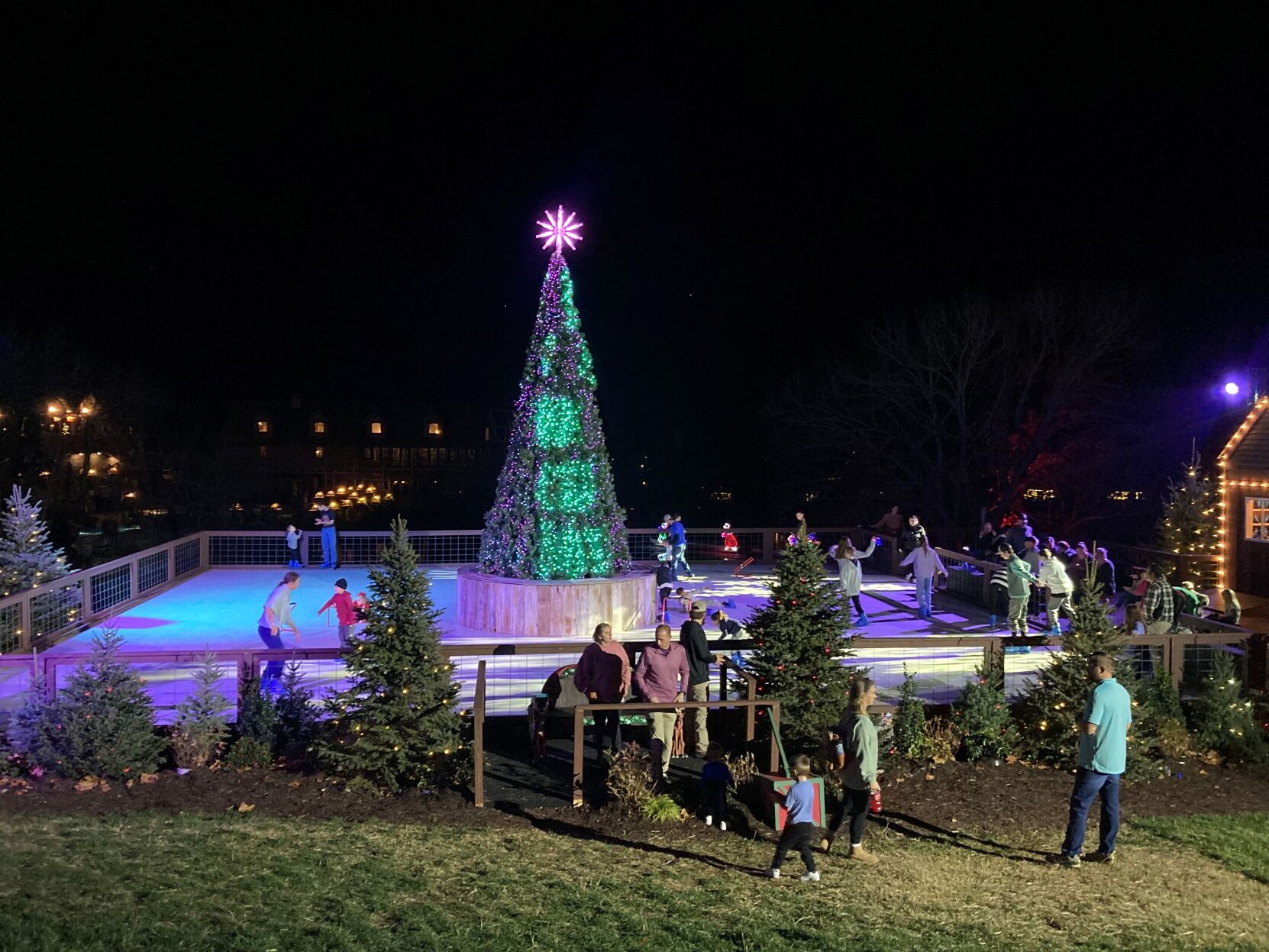 Big Cedar
